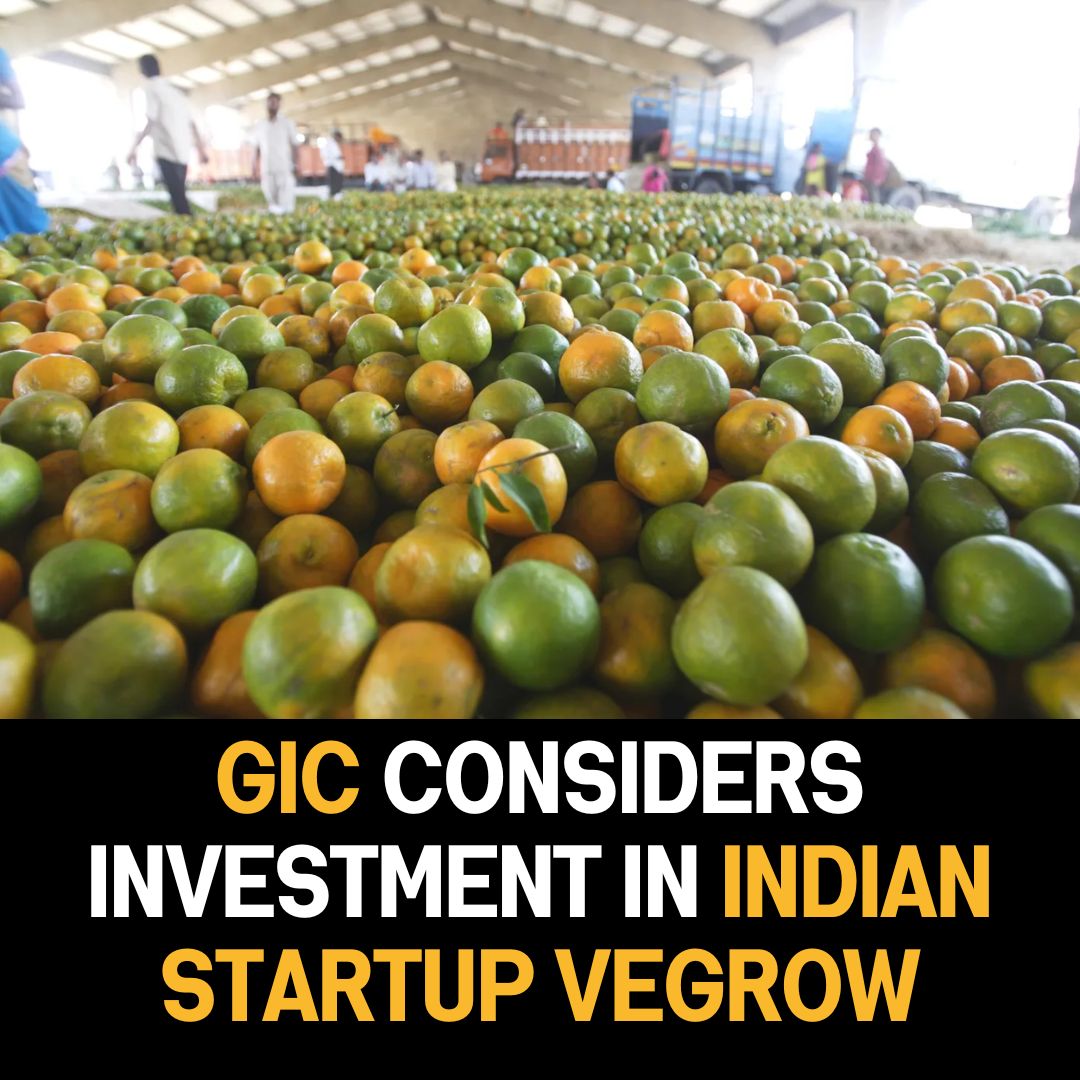 GIC Considers Investment in Indian Startup Vegrow: A Boost for the B2B Fruit Marketplace