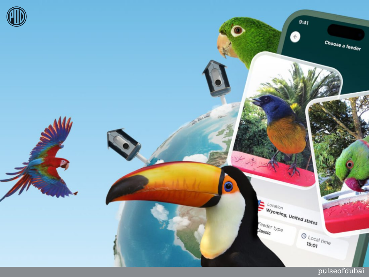 Bird Buddy Explore: A New Digital Adventure for Bird Enthusiasts