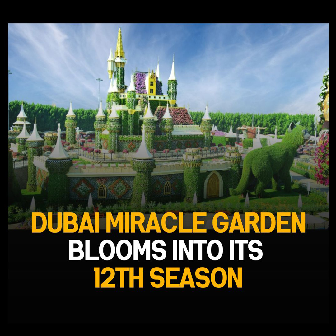 Dubai Miracle Garden: A Captivating Floral Paradise in its 12th Season