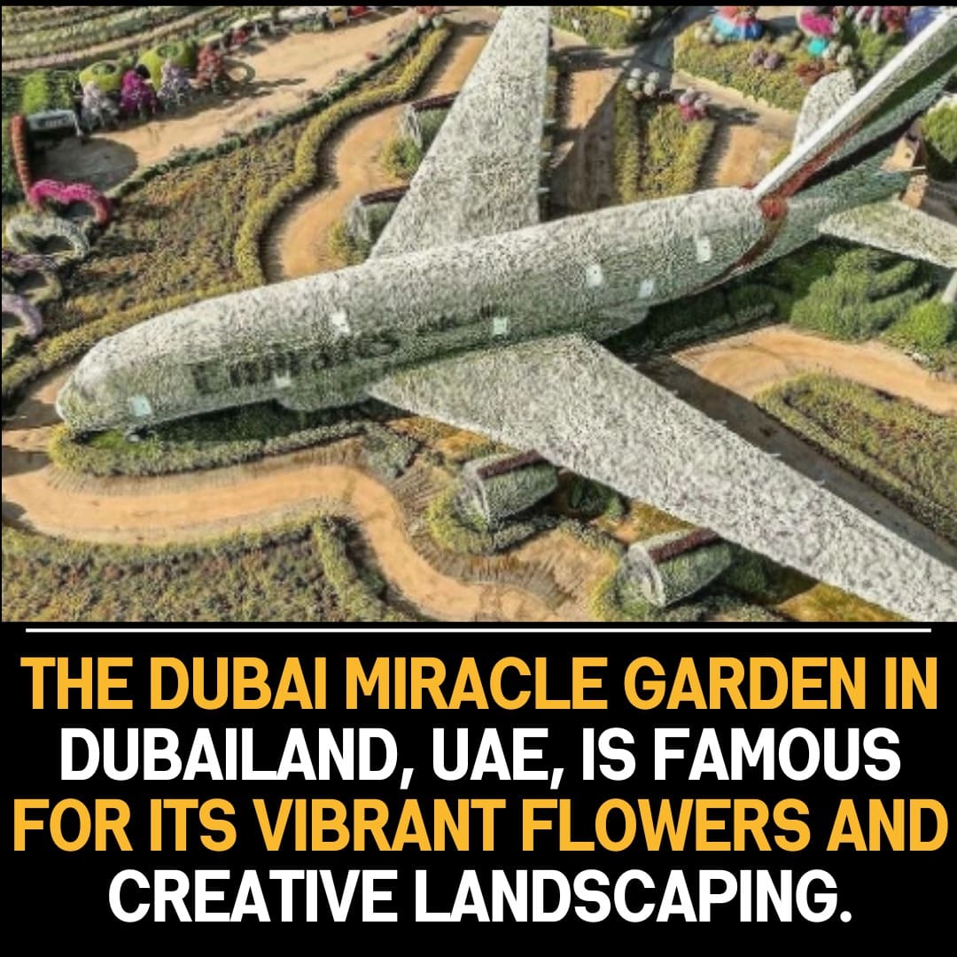 Dubai Miracle Garden: The World’s Largest Flower Garden