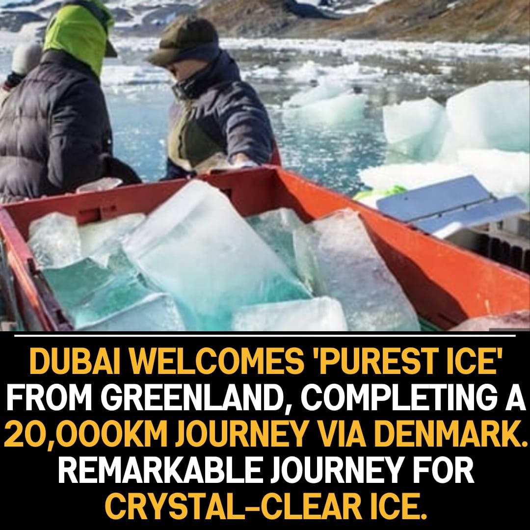 Dubai Receives ‘Purest Ice’ from Greenland after a Remarkable 20,000KM Journey via Denmark