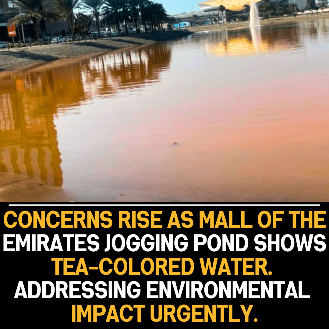 Dubai: Tea-coloured pond near Mall of the Emirates restored after residents raise concerns.