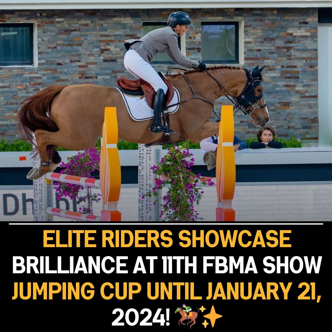 11th FBMA International Show Jumping Cup: Elite Riders from 39 Countries Converge at Al Ain Equestrian Club.