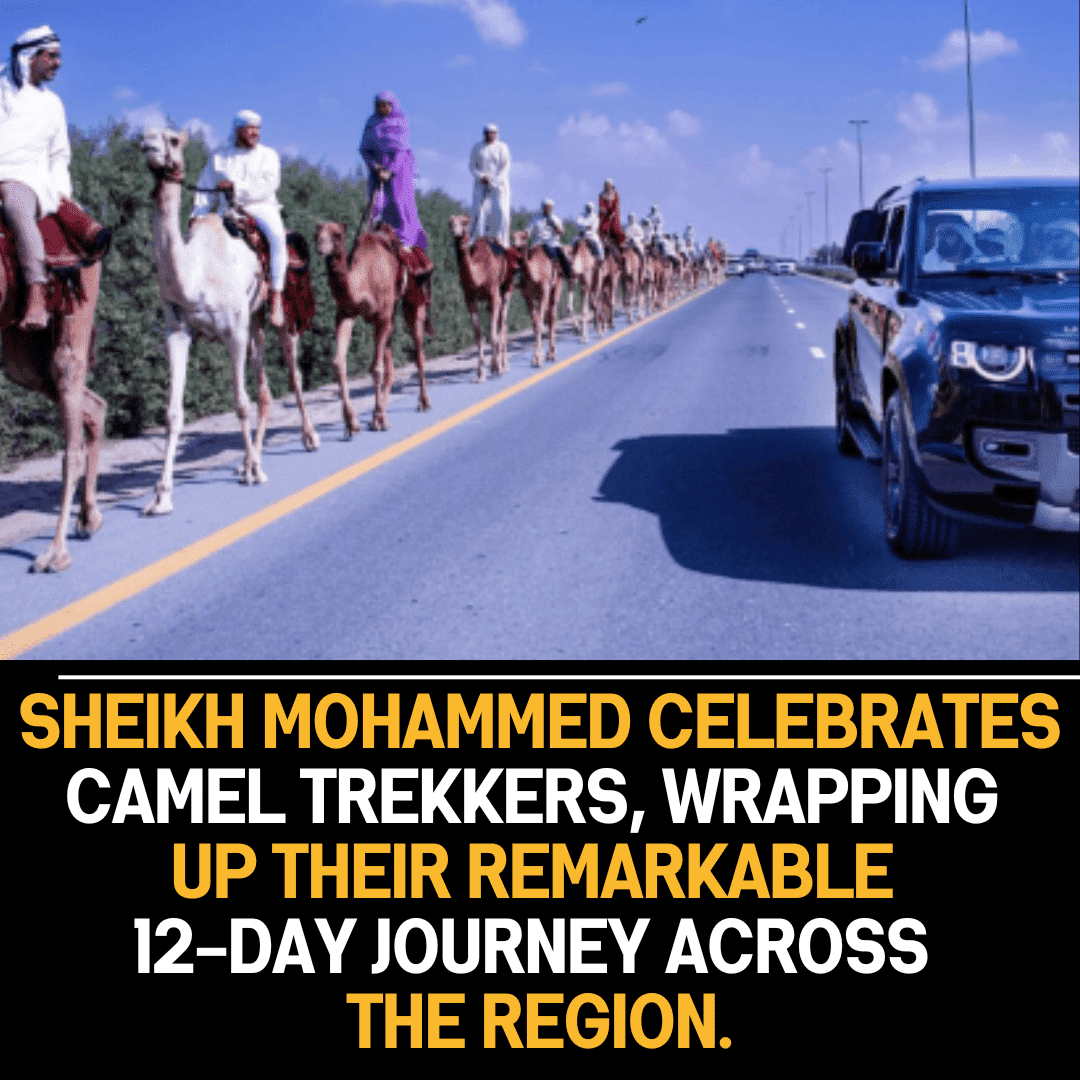 Sheikh Mohammed meets camel trekkers in Dubai after 550km desert journey