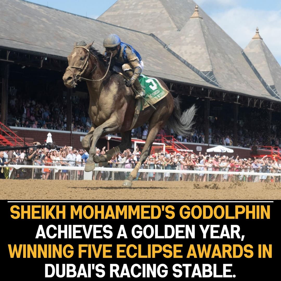 Sheikh Mohammed’s Godolphin Dominates: Secures Five Eclipse Awards, Celebrating Exceptional Success in the Horse Racing Industry.