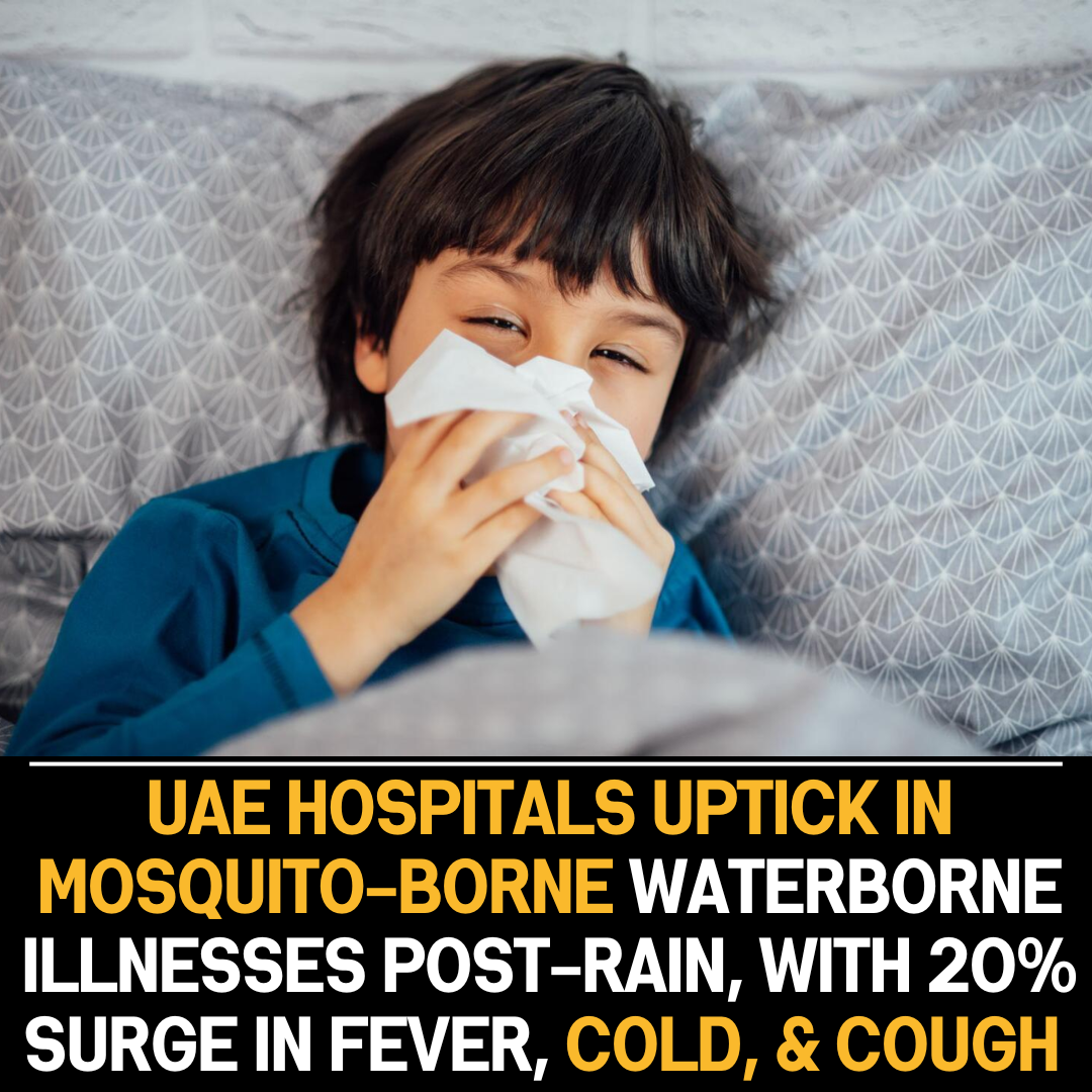 UAE Hospitals Witness Surge in Mosquito-Borne and Waterborne Illnesses After Rainfall,