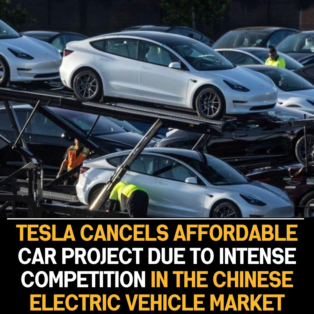 Tesla scraps low-cost vehicle plans due to intense competition in the Chinese EV market