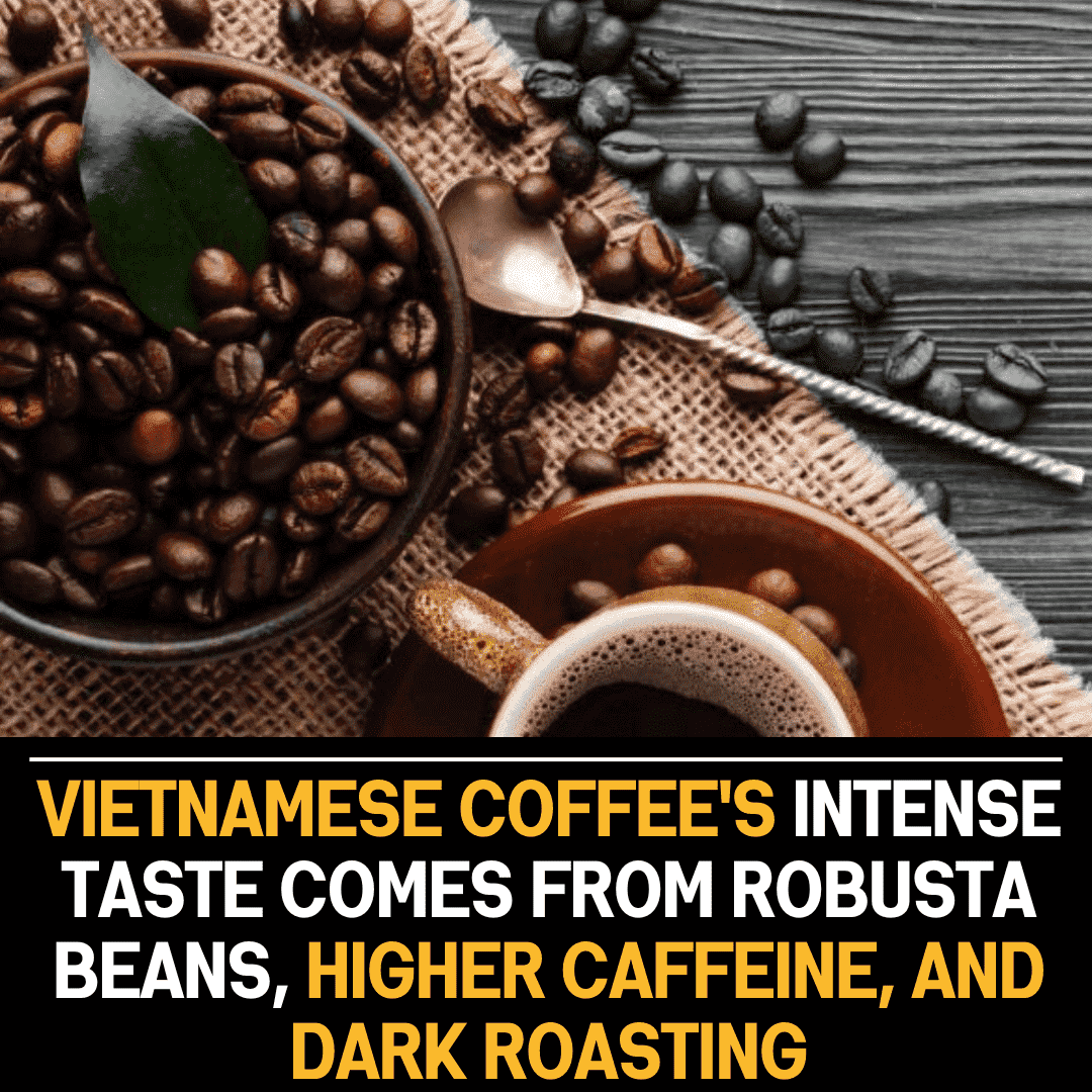 Unraveling the Mystique: The Strong Taste of Vietnamese Coffee