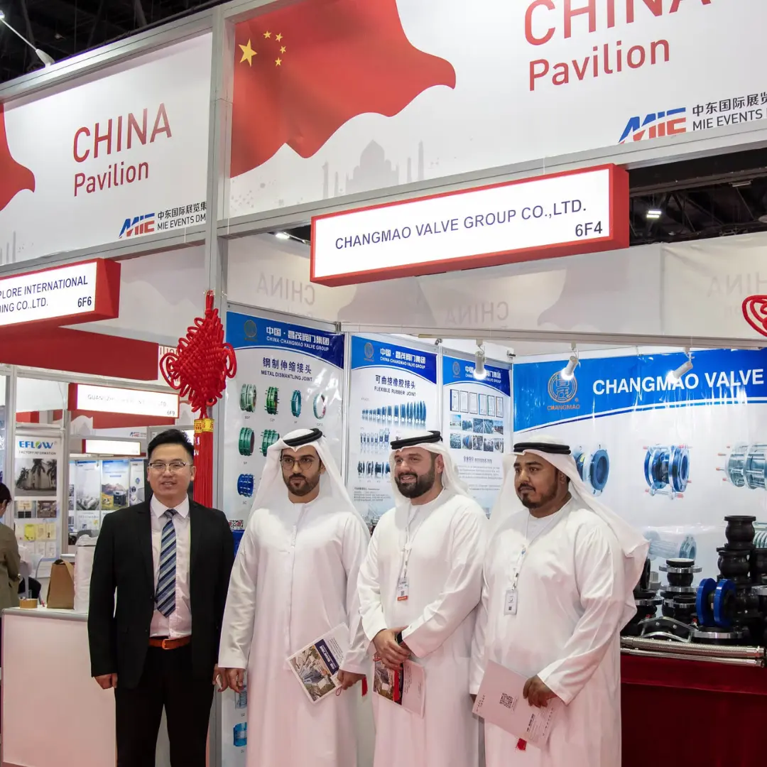 China Powers Up WETEX 2024: Over 200 Companies Set to Electrify Dubai’s Innovation Scene!