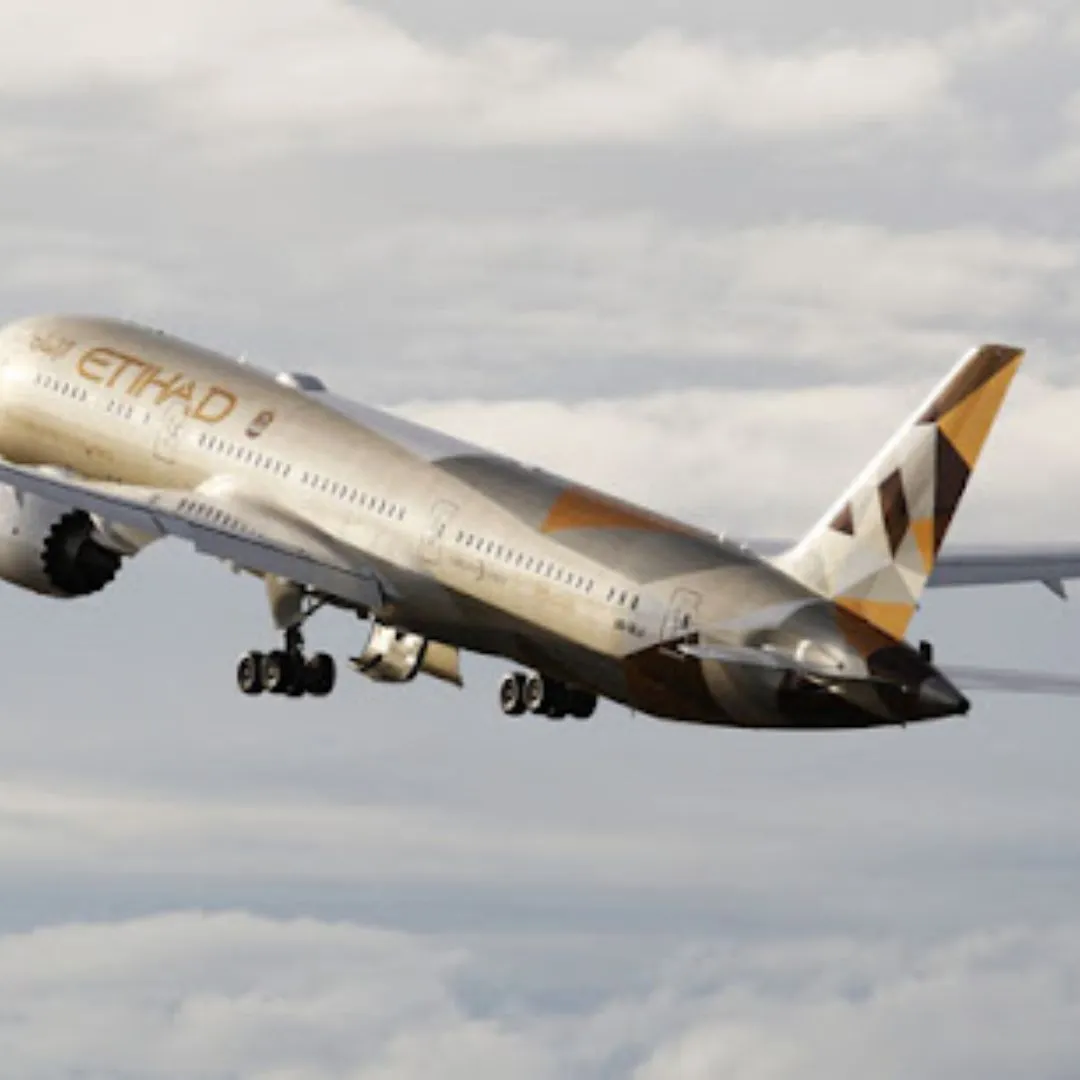 An Etihad flight experienced a 5-hour delay from a bird strike but safely landed in Abu Dhabi.