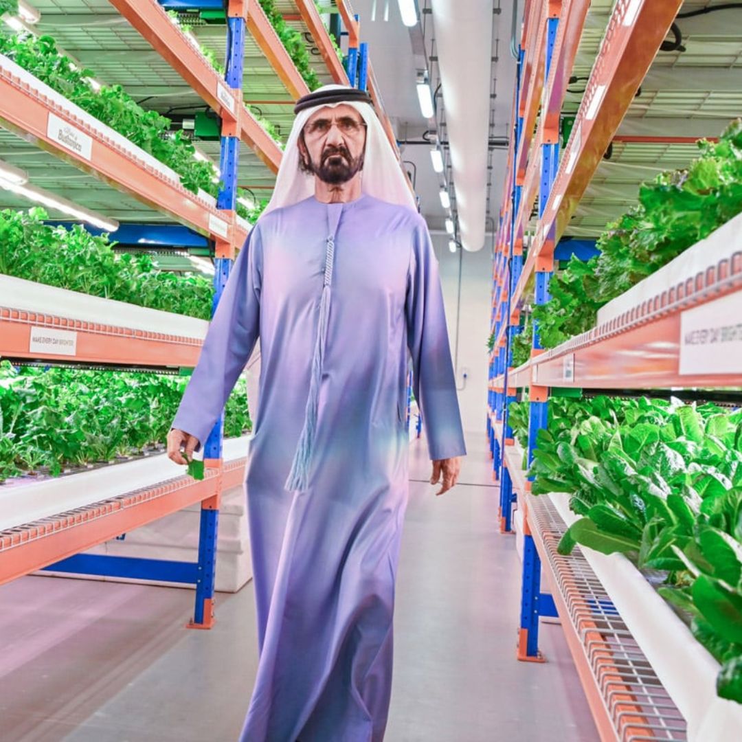 Green Dream: Dubai’s Bold Plan to Plant the Emirates and Power Sustainable Agriculture!